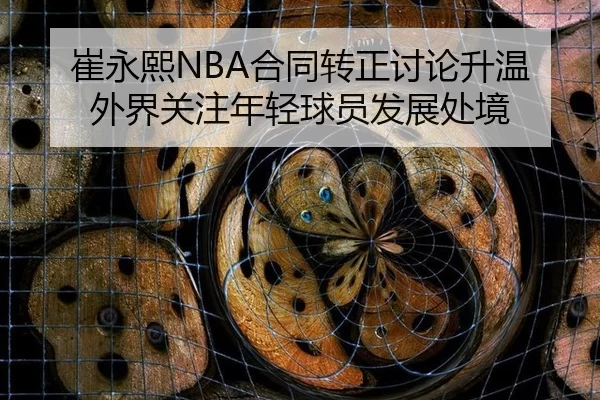崔永熙NBA合同转正讨论升温 外界关注年轻球员发展处境
